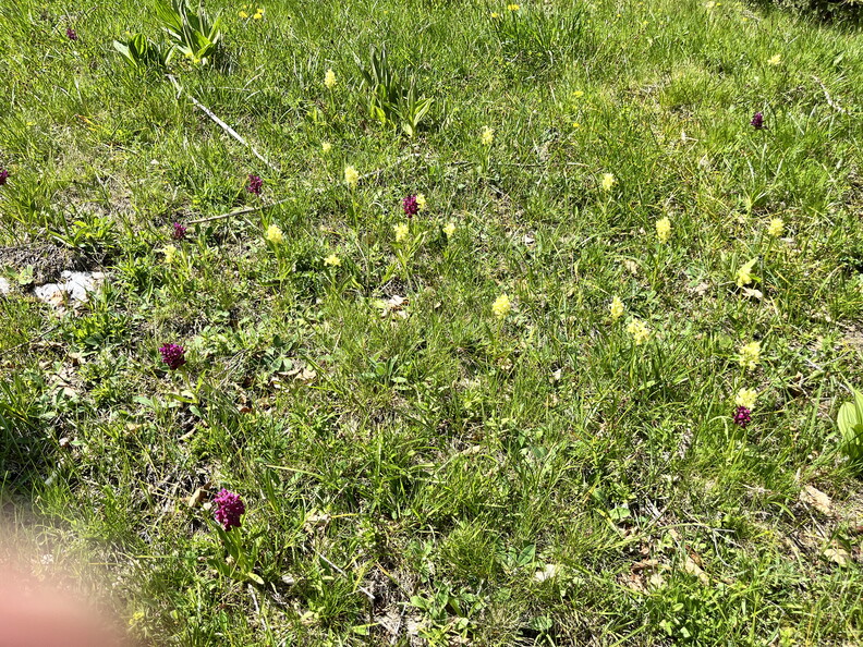 23-05-26 14-11-20 5708